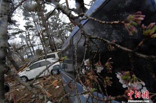 东日本大地震中仙台地震加速度远超阪神地震