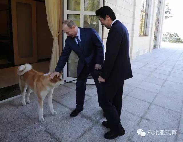 安倍押注：俄罗斯将在困境之下就北方四岛向日本让步