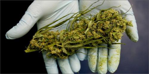 欧洲人每年吸毒花多少钱?差不多两个朝鲜GD