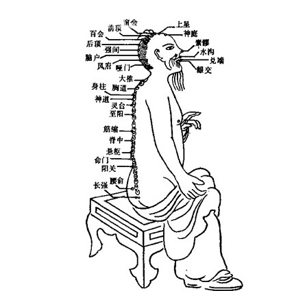 经过9天培训,学员们感受了真气在任督二脉运行的经过,证明了经络学的