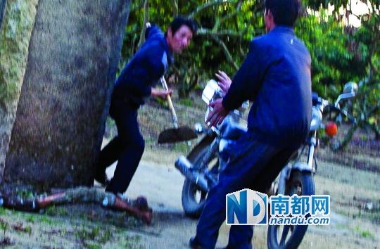 文章配图