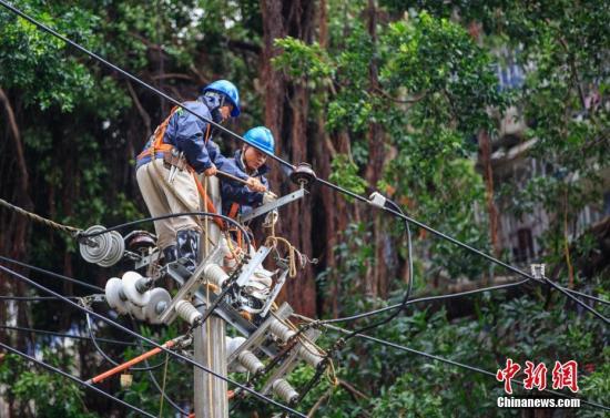 台风致福建200多万户停电 2000余人抢修电网