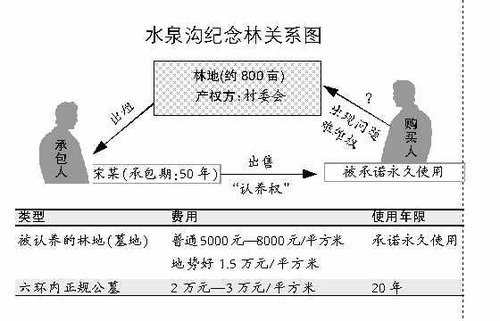 男子承包800亩生态林 树葬当噱头变身非法公墓