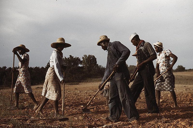 1929美国经济大萧条_1929美国经济大萧条(3)