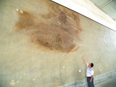 中储粮河南正阳直属库未启动收购 农民贱卖小