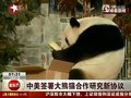 视频：中美两国签署大熊猫合作研究新协议