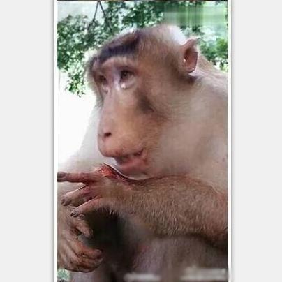 有本事去找前女友算账啊！