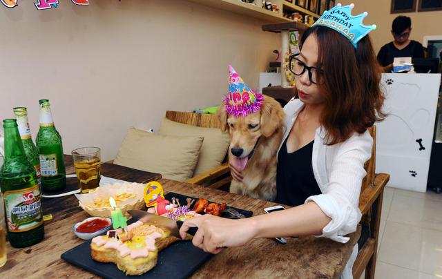 南宁女子到专门宠物餐厅为爱犬过生日
