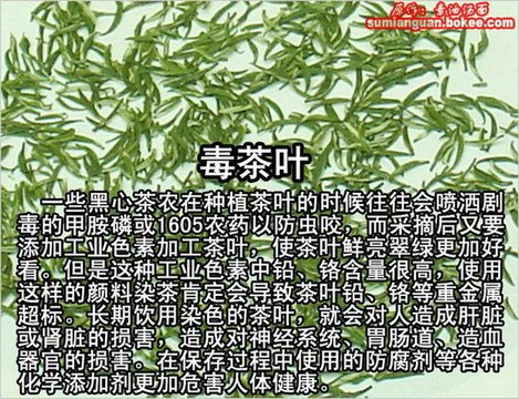 [转载]餐桌安全成为人们的担忧 51种毒食品!