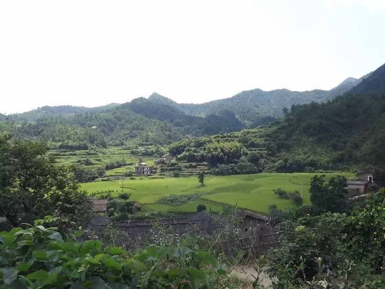 村庄风景 村庄风景