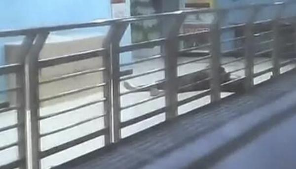 男生因情感纠葛刺穿前女友脖颈 涉故意杀人被批捕