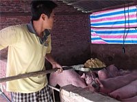 ��768�ڣ���ֳ����һ��
