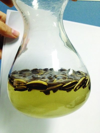 ���͹���