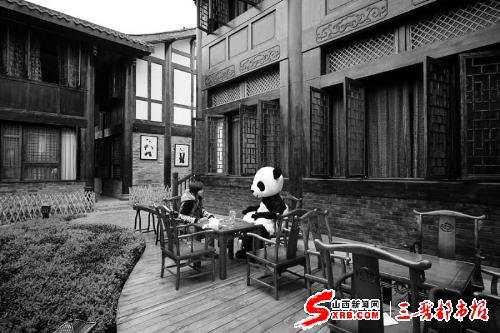 全球首家熊猫主题酒店(图)