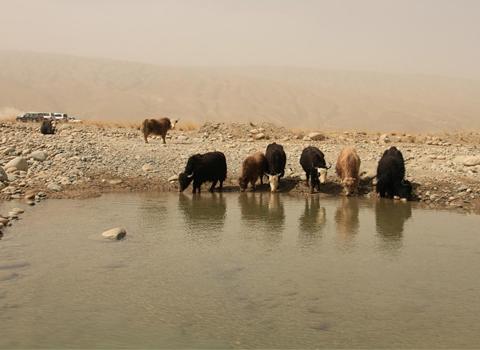 新疆乡村故事征稿_图片频道