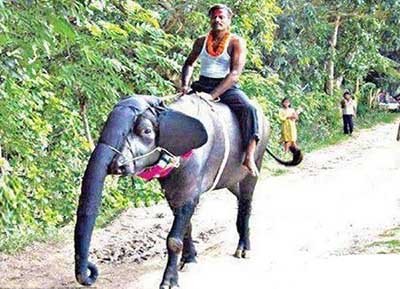 除了开房,过节还能干什么?