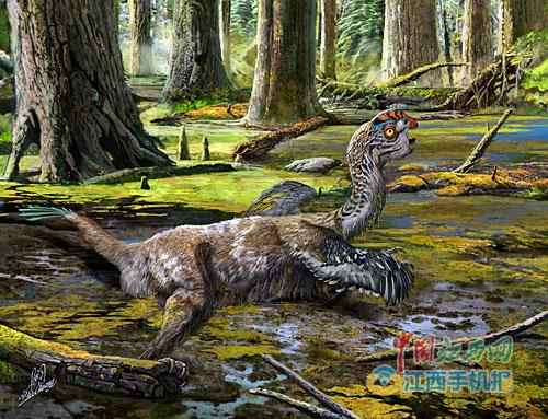 赣州恐龙动物群又增新成员 泥潭通天龙:一梦7200万年