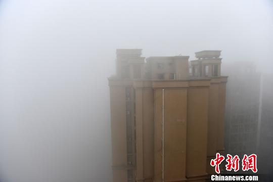 四川14市遭遇大雾袭击局部能见度不足50米
