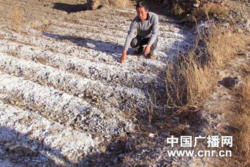 组图云南631万人遭旱灾村民用硝水喂牲畜