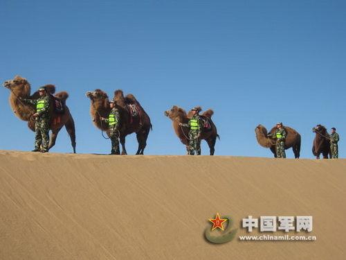 中蒙边境士兵潜伏4天抓获偷渡者 喝骆驼尿解渴