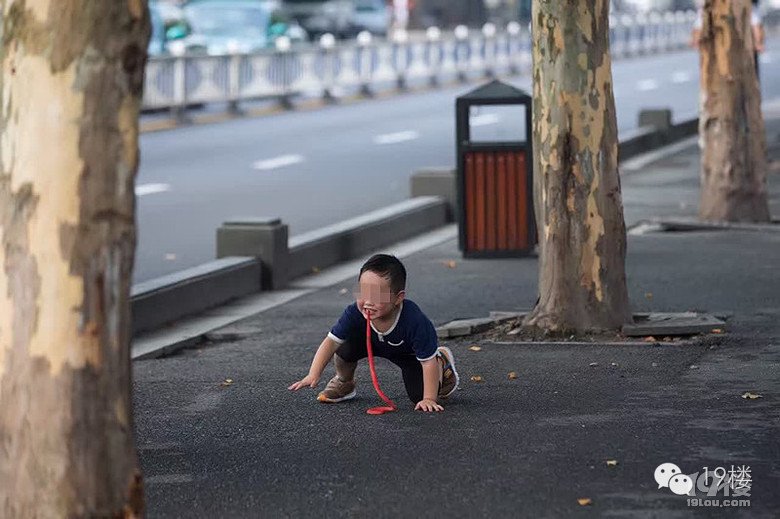 大妈当街抽烟遛孙子 让其学狗爬用嘴叼“蛇”(图)