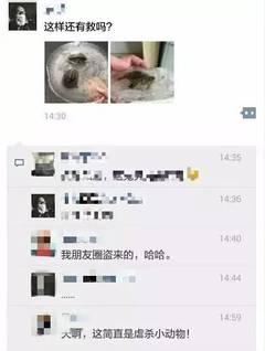 全国人民都在揪心的那两只冰冻乌龟活了(图)