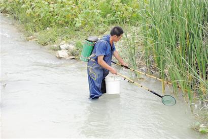 青岛景区大泽山流出牛奶河 污染严重村民买水喝