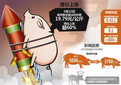 媒体探访猪肉市场：进口肉比国产肉便宜一半