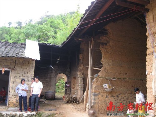 贫困户被要求借牛迎省领导检查欲说实话被制止