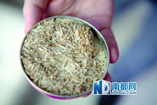 刘颖 一袋10公斤装的大米吃到底部时,发现其中有发霉现象并伴有杂质