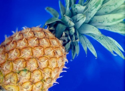 菠萝怎么吃才不伤胃 82499614.jpg