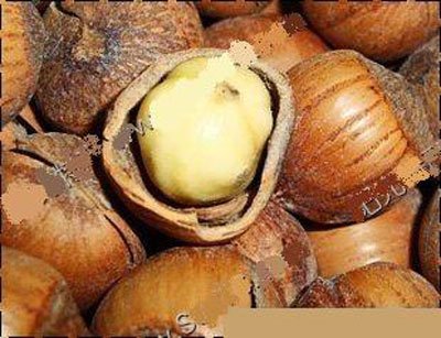 黄河颂朗诵配乐曲谱