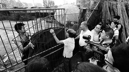 广西玉林狗肉节将至 动物保护人士与狗肉贩对峙