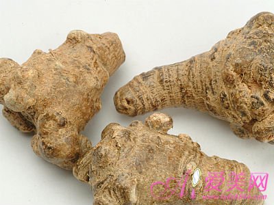 有痔疮可以吃田七黄芪吗