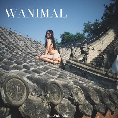 怎么办？太美了不敢发快递