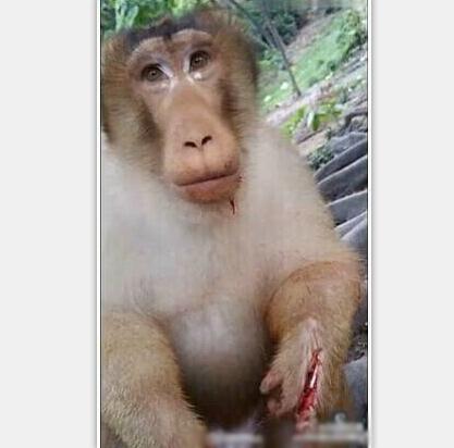 有本事去找前女友算账啊！