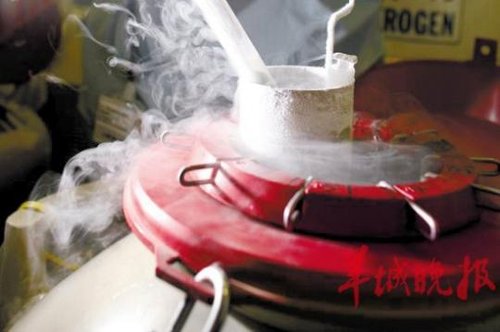 冷冻卵子,为生育提供保险