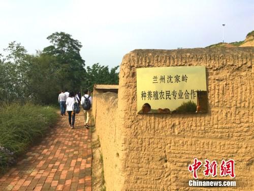 网络媒体走转改:红色地标上的“山景”合作社