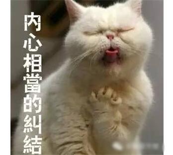 ΪǮˣ