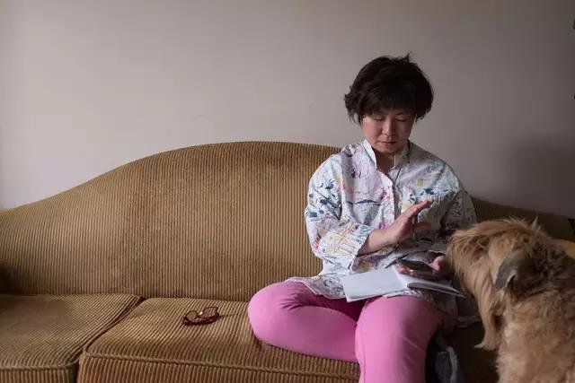 罗文正在与狗进行沟通。 罗文正在与狗进行沟通。