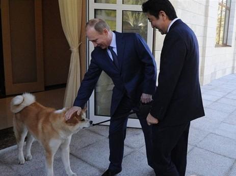 博彩娱乐城注册体验金* *欢迎阁下莅临*现金斗