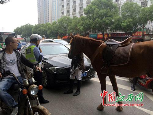 南昌街头一匹马踢坏宝马车  交警认定司机负全责