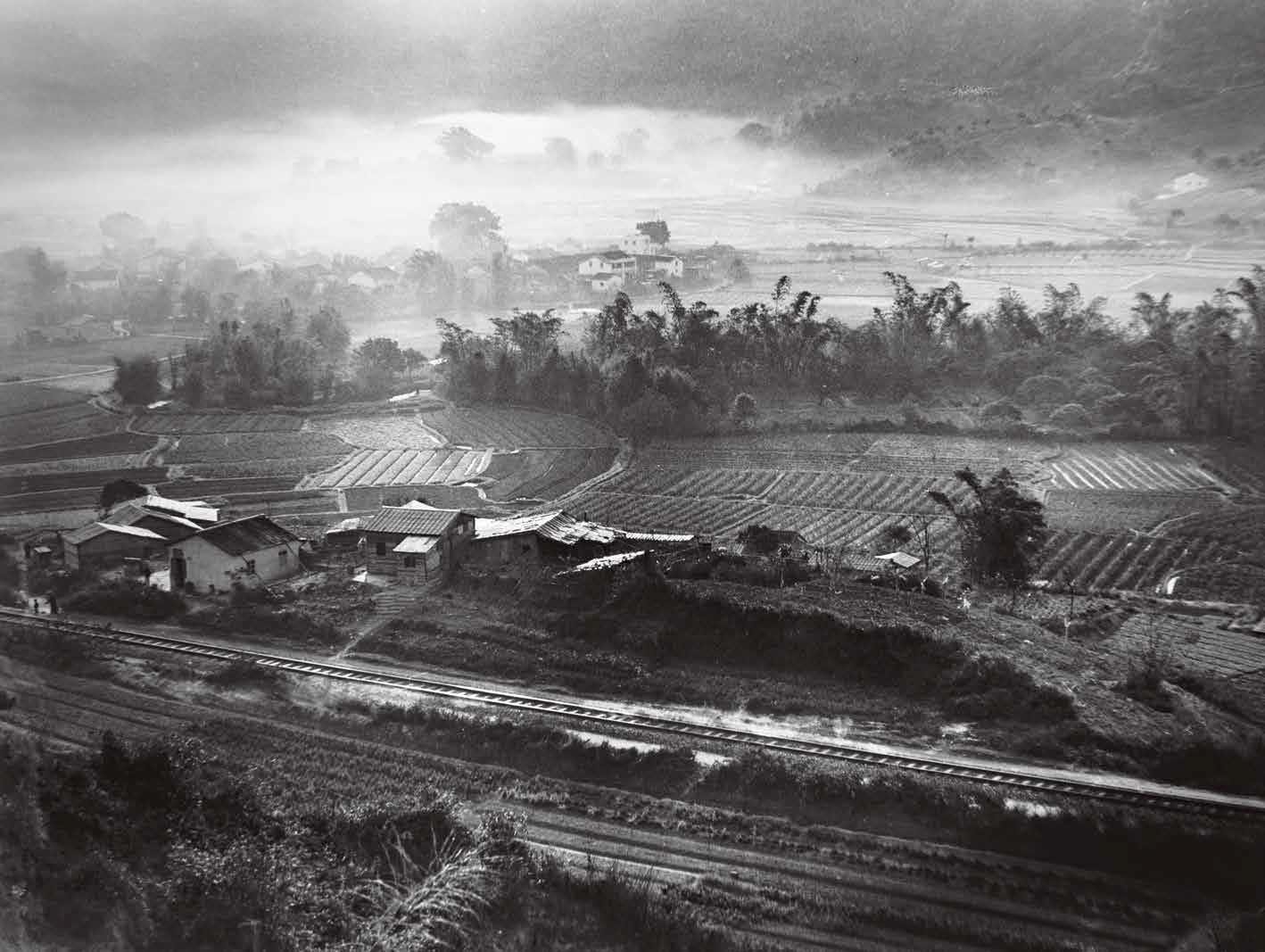 1951年,沙田。 1951年,沙田。