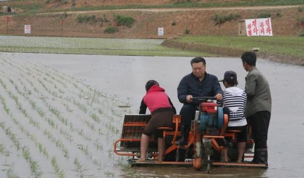 朝鲜遭遇罕见大旱 中国驻朝大使驾驶插秧机支农