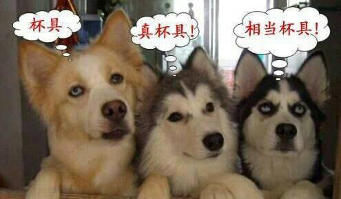 女要嫁对郎是多么重要！