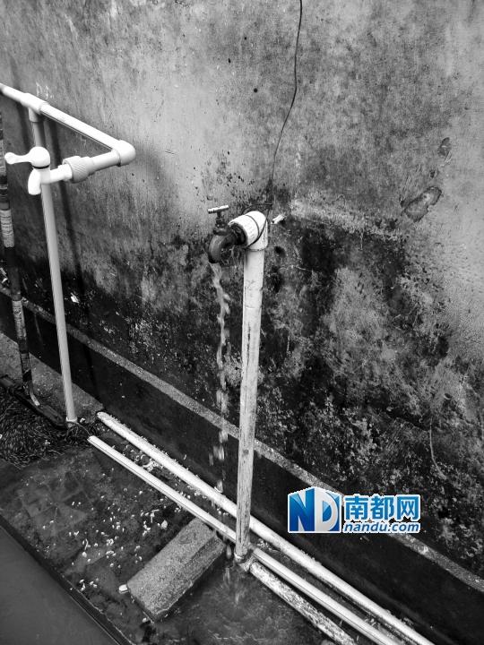 新華社證實“渾水泡面”系群眾救災初期所為