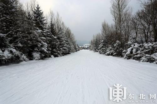 黑龙江提前迎来冬季旅游季 多地积雪超过40厘米