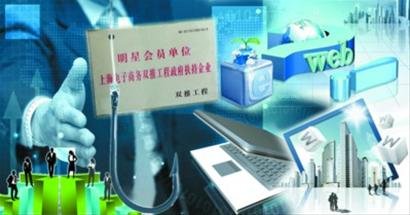 淘宝卖家3万元抢到空网站 条款被印在不显眼处