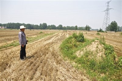 6月4日,安徽颍上县新集镇下湾村。刘永凯站在妻子坟前。