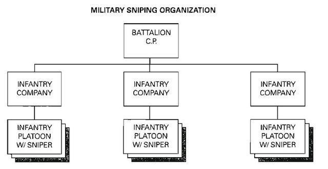 并非一个人在战斗：狙击部队的组织结构是什么